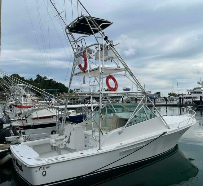 Photo of 33' Striker Espress 2000