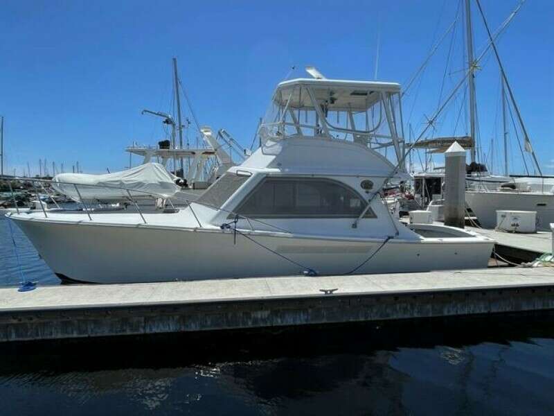 Photo of 36' Jersey 36 Convertible Sportfisherman 1987
