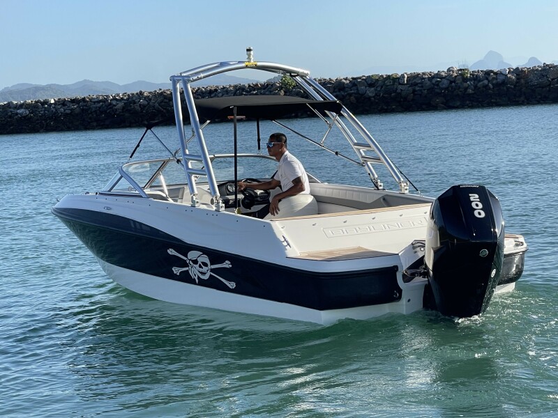 Photo of 2012 Bayliner 19'