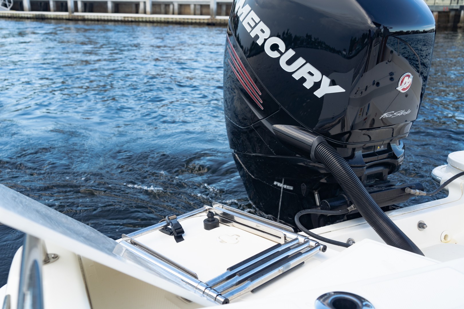 Boston Whaler 21 - Dive Ladder