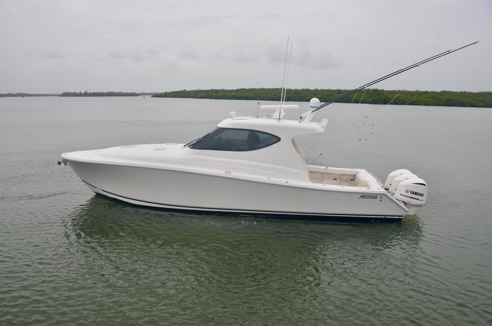 Jupiter 41- profile