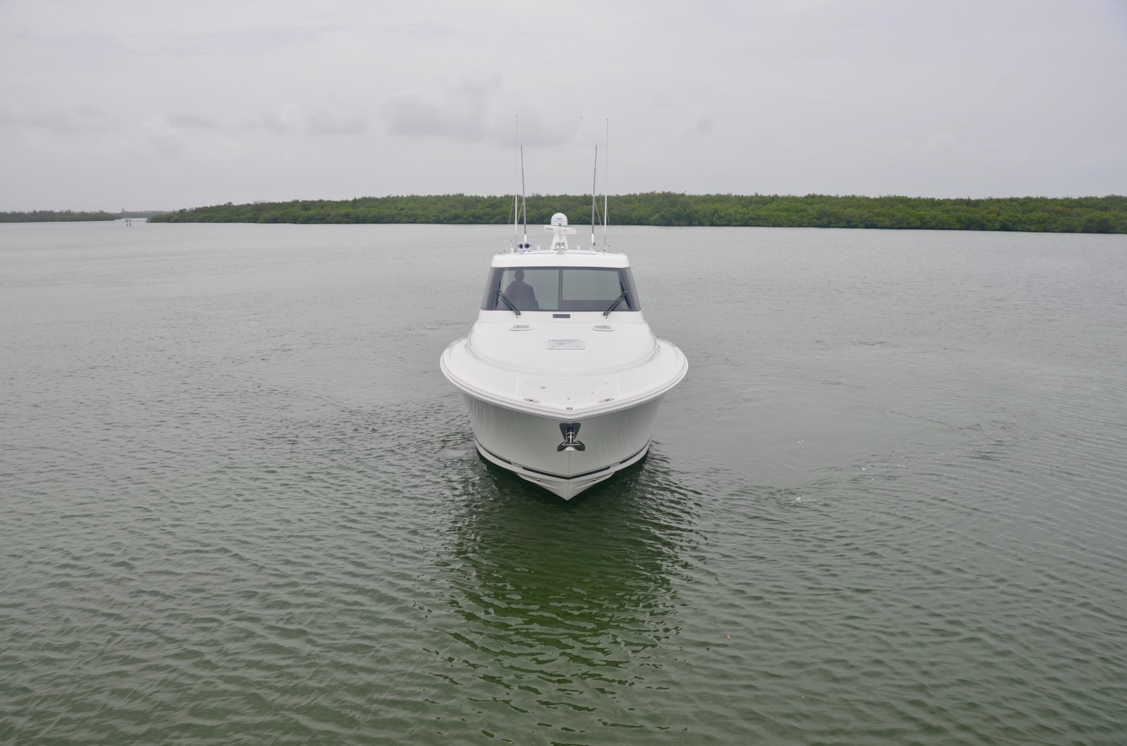 Jupiter 41- profile