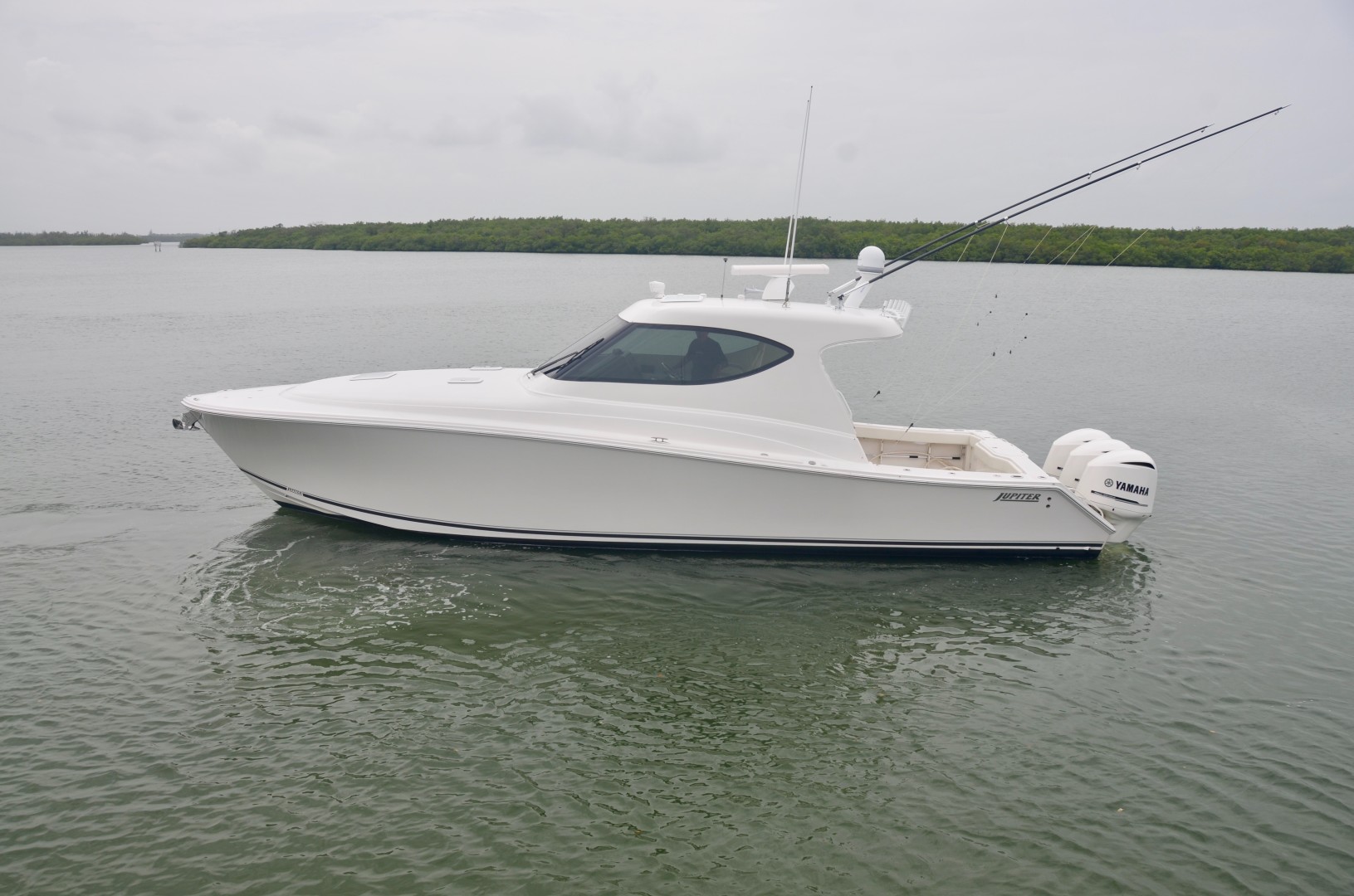 Jupiter 41- profile