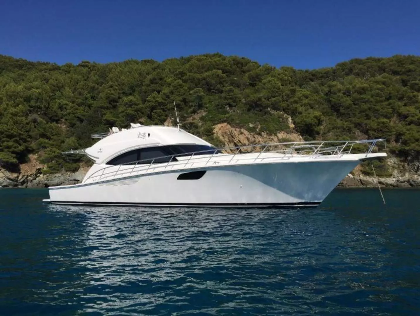 2010 61' Bertram photo