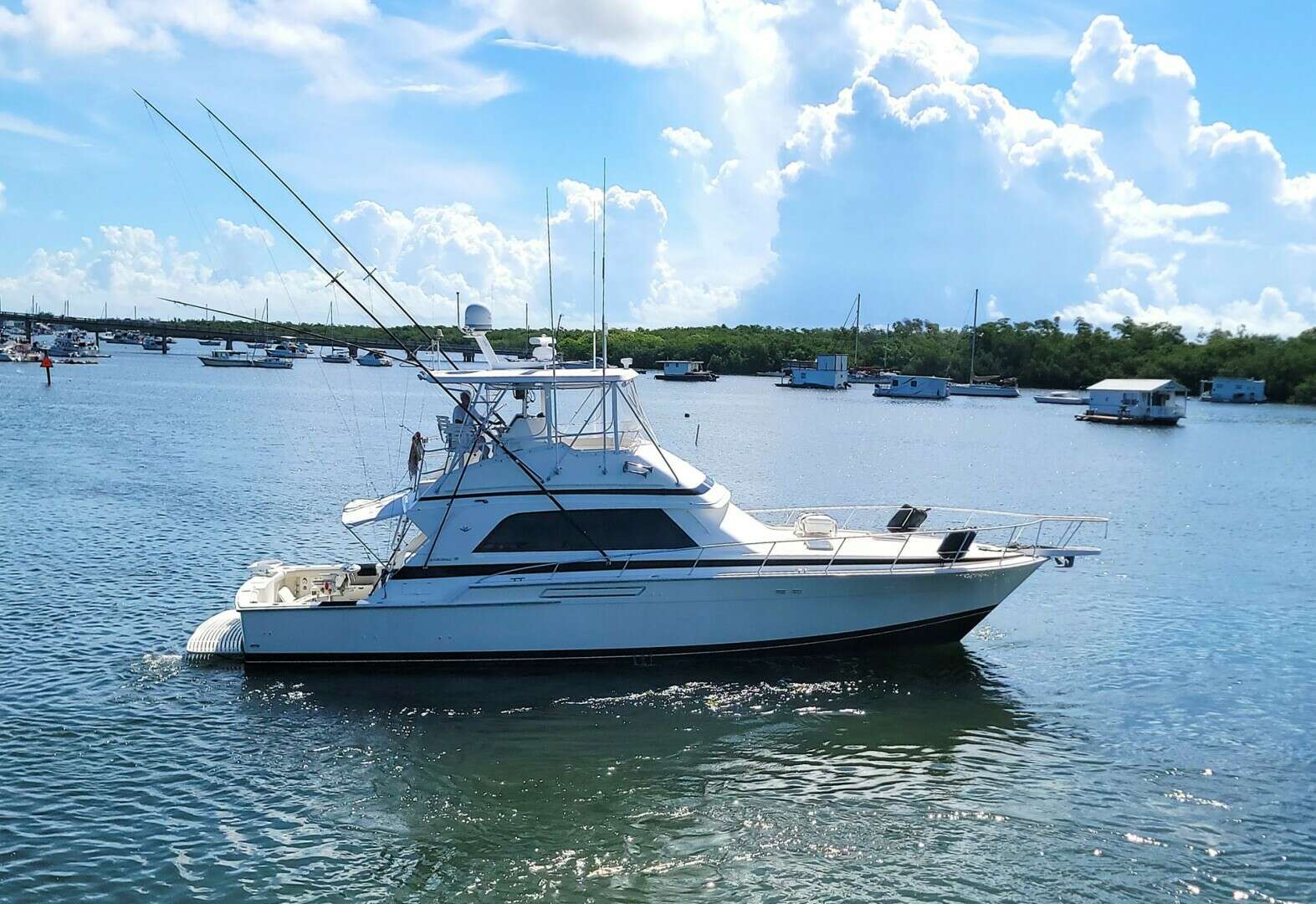 1989 50' Bertram photo