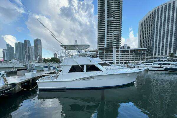 Picture Of: 1982 Hatteras Convertible Lip Service