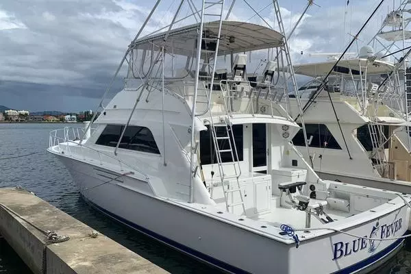 Picture Of: 1988 Bertram 50 Convertible Blue Fever
