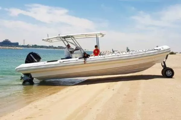 Picture Of: 2022 Ocean Craft Marine Transport and Tour 9.5M 