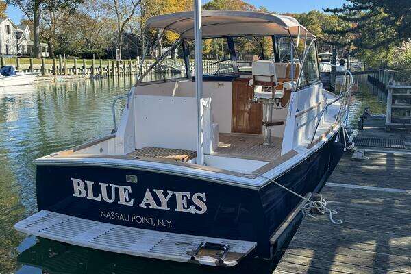 Picture Of: 2000 Bruckmann Bluestar Blue Ayes