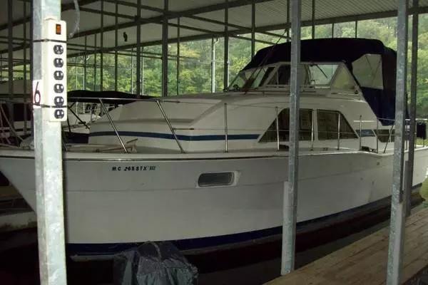Picture Of: 1979 Chris-Craft Catalina Under the wire