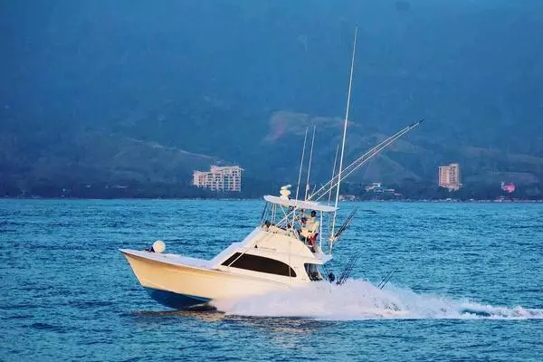 Picture Of: 1984 Sunny Briggs Custom Carolina Constellation