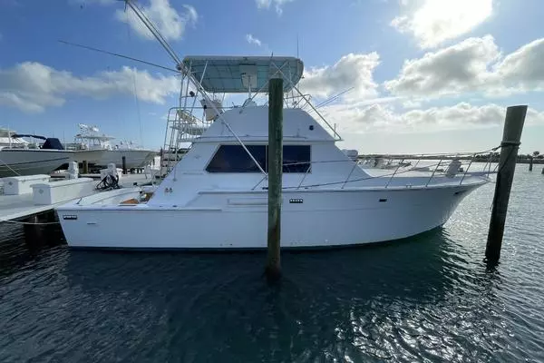 Picture Of: 1984 Bertram 42 Convertible Marlintini