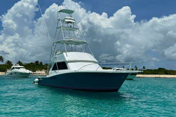 Picture Of: 1997 Viking 43 Convertible Vinito