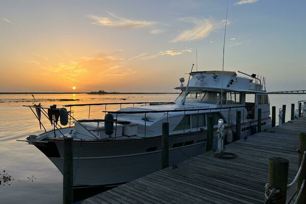 Picture Of: 1966 Chris-Craft  