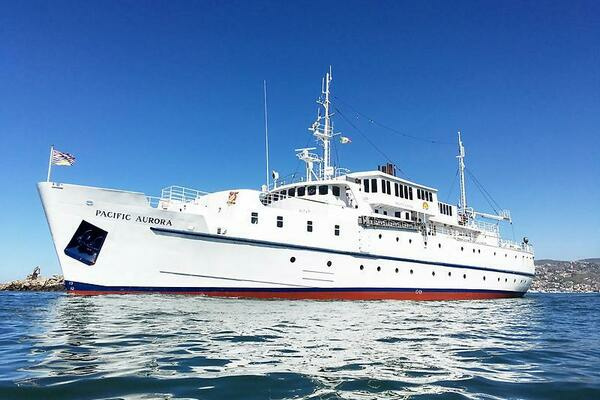 Picture Of: 1962 Custom  Salty