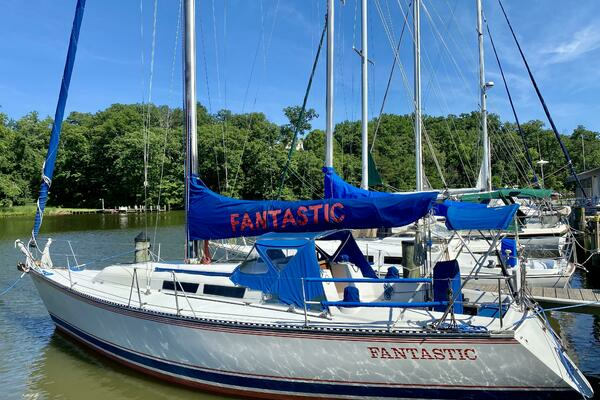 Picture Of: 1984 Express Fast Performance 