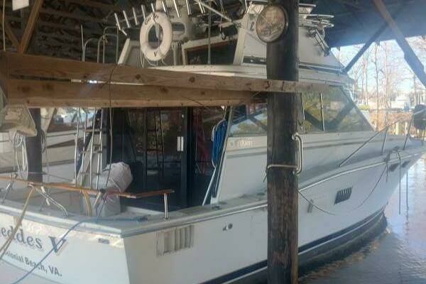 Picture Of: 1977 Trojan  