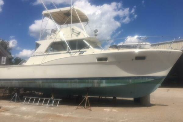 Picture Of: 1973 Chris-Craft Tournament Sea Dizzy