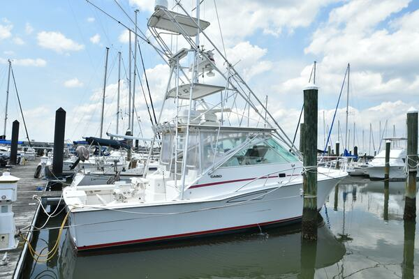 Picture Of: 2001 Cabo 35 Express 