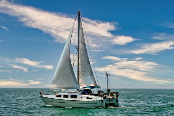 Picture Of: 1979 Ocean Winds  Grayling