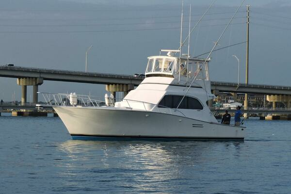 Picture Of: 1990 Post 44 Lost Tarheel