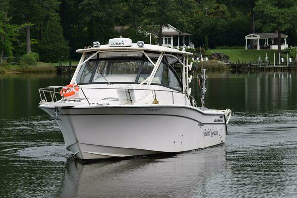 Picture Of: 2016 Grady-White Express 330 Isabel Gracia