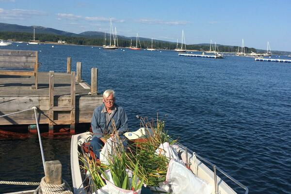 Picture Of: 1985 Boston Whaler  Untitled