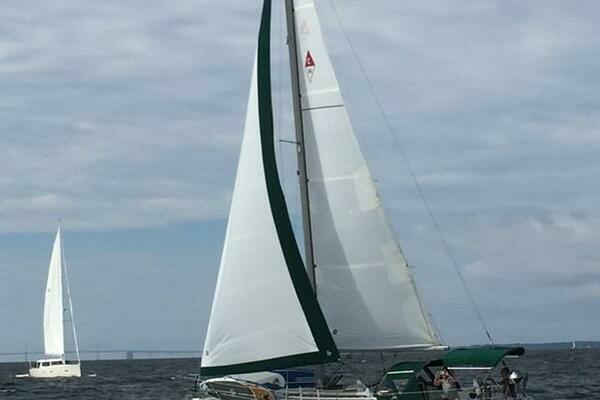 Picture Of: 1988 Catalina 34 Talisman