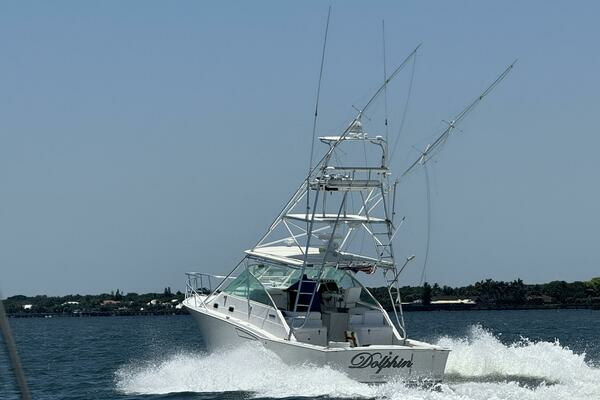 Picture Of: 2002 Cabo 35 Express Dolphin