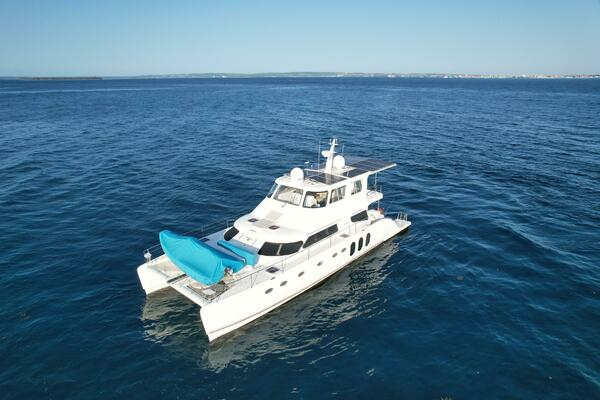 Picture Of: 2014 Powerplay Power Cat ALBATROSS