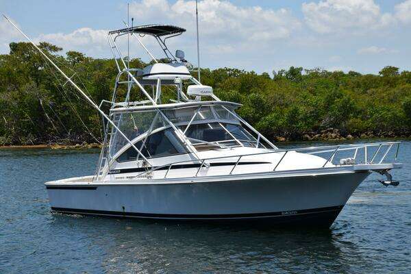 Picture Of: 1995 Blackfin Combi 33 IT'S A WRAP