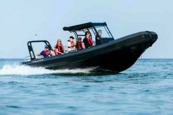 Picture Of: 2024 Highfield Patrol 860 