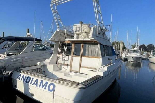 Picture Of: 1987 Bayliner 3460 Andiamo