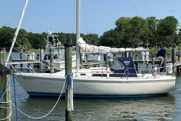 Picture Of: 1988 Catalina  Ecphora