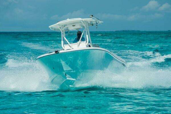 Picture Of: 2025 Edgewater 245CC 