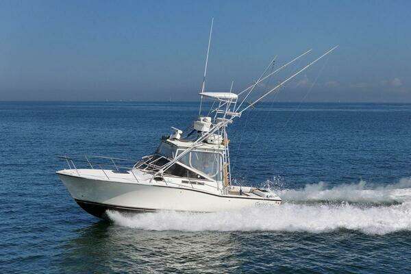 Picture Of: 1999 Carolina Classic 28 Express Gayle Force