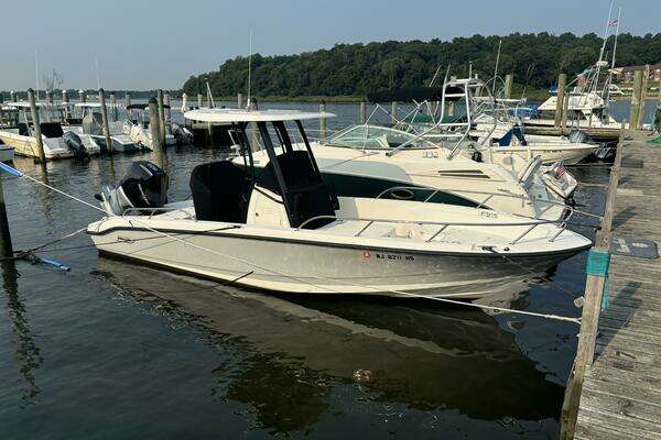 Picture Of: 2023 Boston Whaler 250 Dauntless 