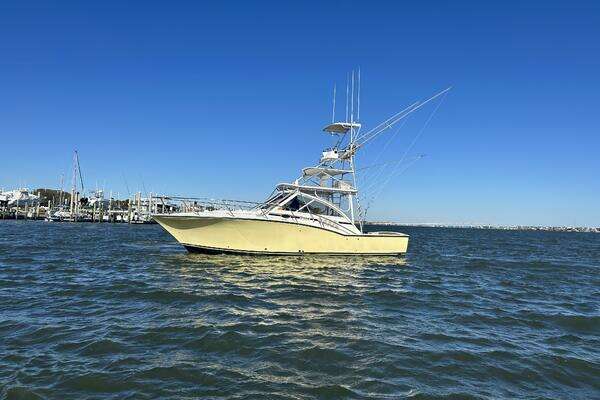 Picture Of: 2004 Carolina Classic  StaFly