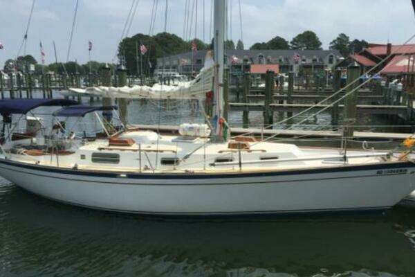 Picture Of: 1985 Morgan 384 