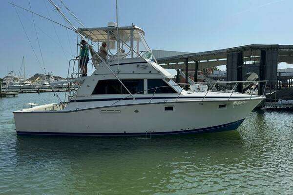 Picture Of: 1983 Bertram 385 Convertible Cast Off II