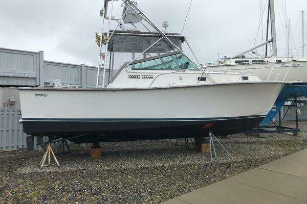 Picture Of: 1990 Shannon Brendan 28 Blue Line