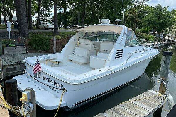 Picture Of: 2001 Sea Ray 340 Amberjack HOW EWE DOIN