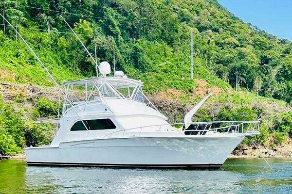 Picture Of: 1988 Bertram 54' 