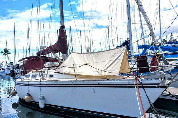 Picture Of: 1983 Morgan Nelson Marek 45-4 BRAVO