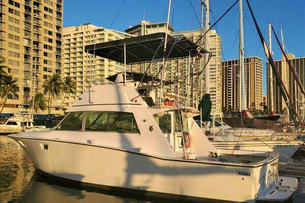 Picture Of: 1979 Bertram 38 Convertible Sportfisher RUSALKA