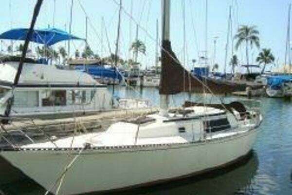 Picture Of: 1981 Newport C and C Sloop 