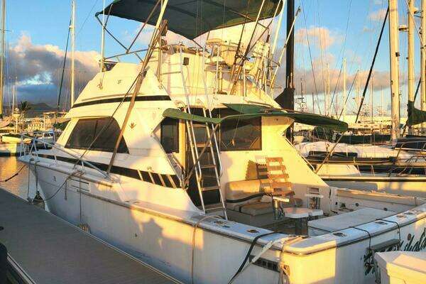 Picture Of: 1988 Bertram 37 Convertible 