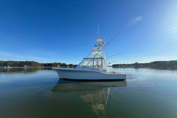 Picture Of: 1998 Jersey Cape 36 Express Precedent 