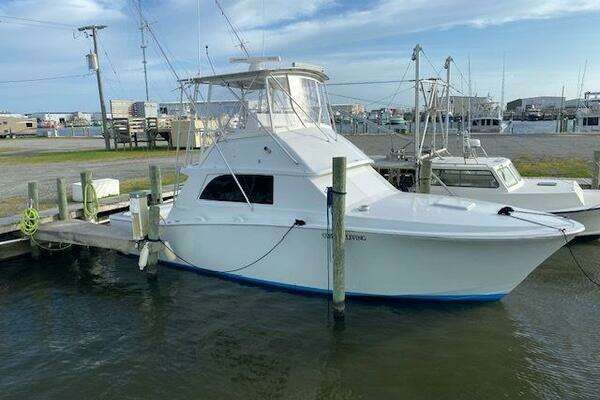 Picture Of: 1985 Bertram  