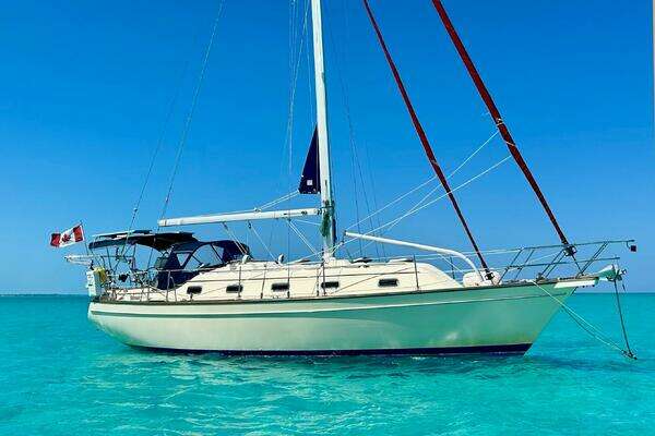 Picture Of: 1999 Island Packet 380 AFTIA